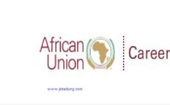 Africa Union Commission Jobs